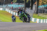 Middle Group Green Bikes